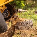 Miller’s Tree Service Expert Tree Cutting and Emergency Removal Help