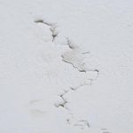 Bear Restoration Trusted Water Damage Experts Near You