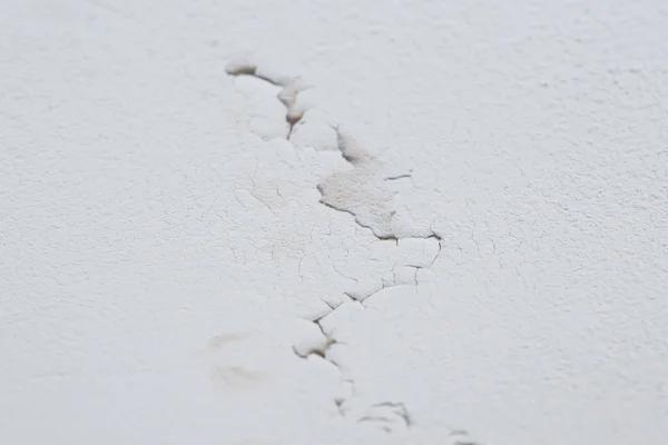 Bear Restoration Trusted Water Damage Experts Near You